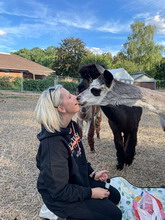 Bungenhof Alpaka-Rendezvous