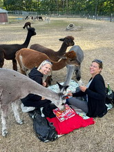 Bungenhof Alpaka-Rendezvous